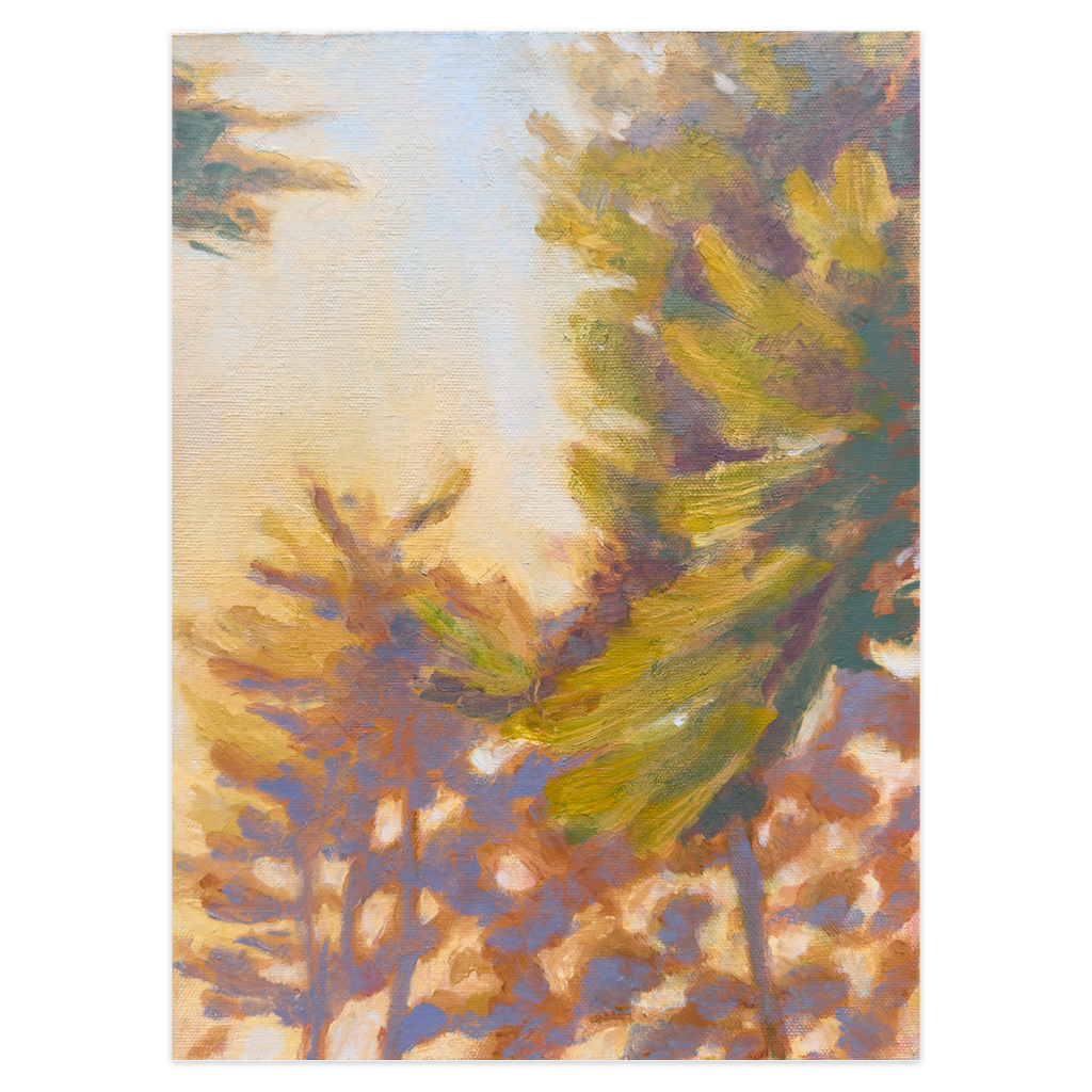 Pine Trees Poster
