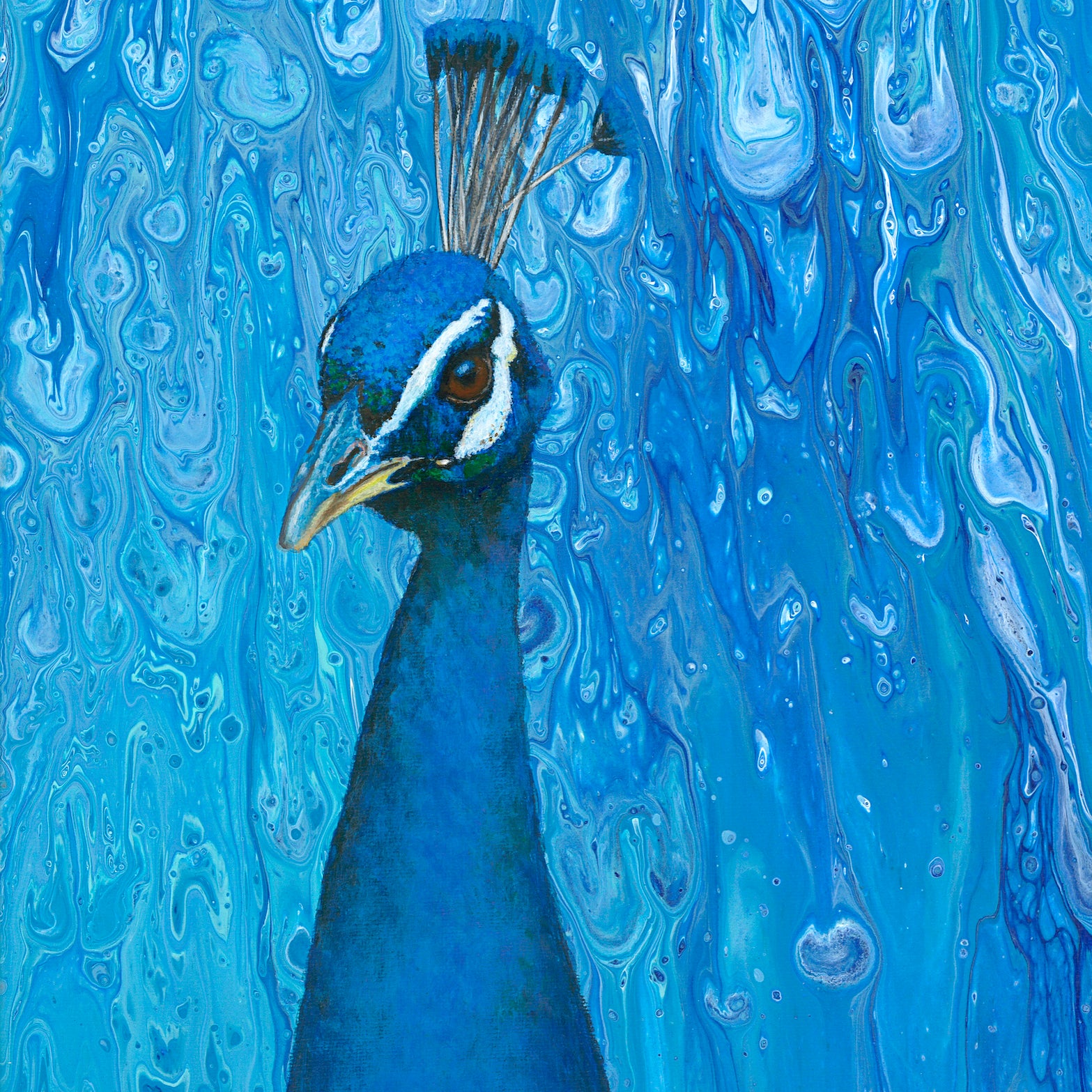 Peacock Paintings | Paintings of Peacocks | Peacock Artwork | Peacock Canvas Painting
