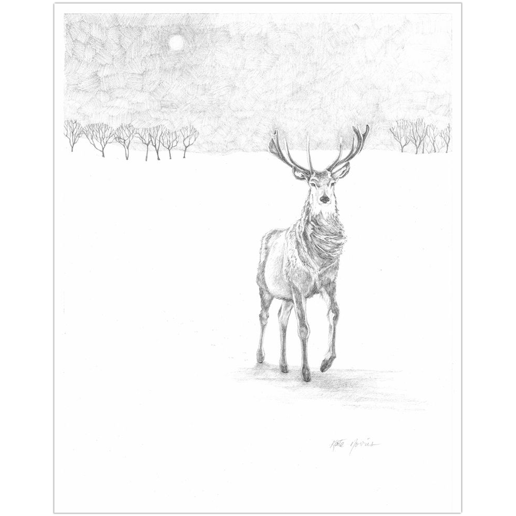 Winter Stag Paper Print