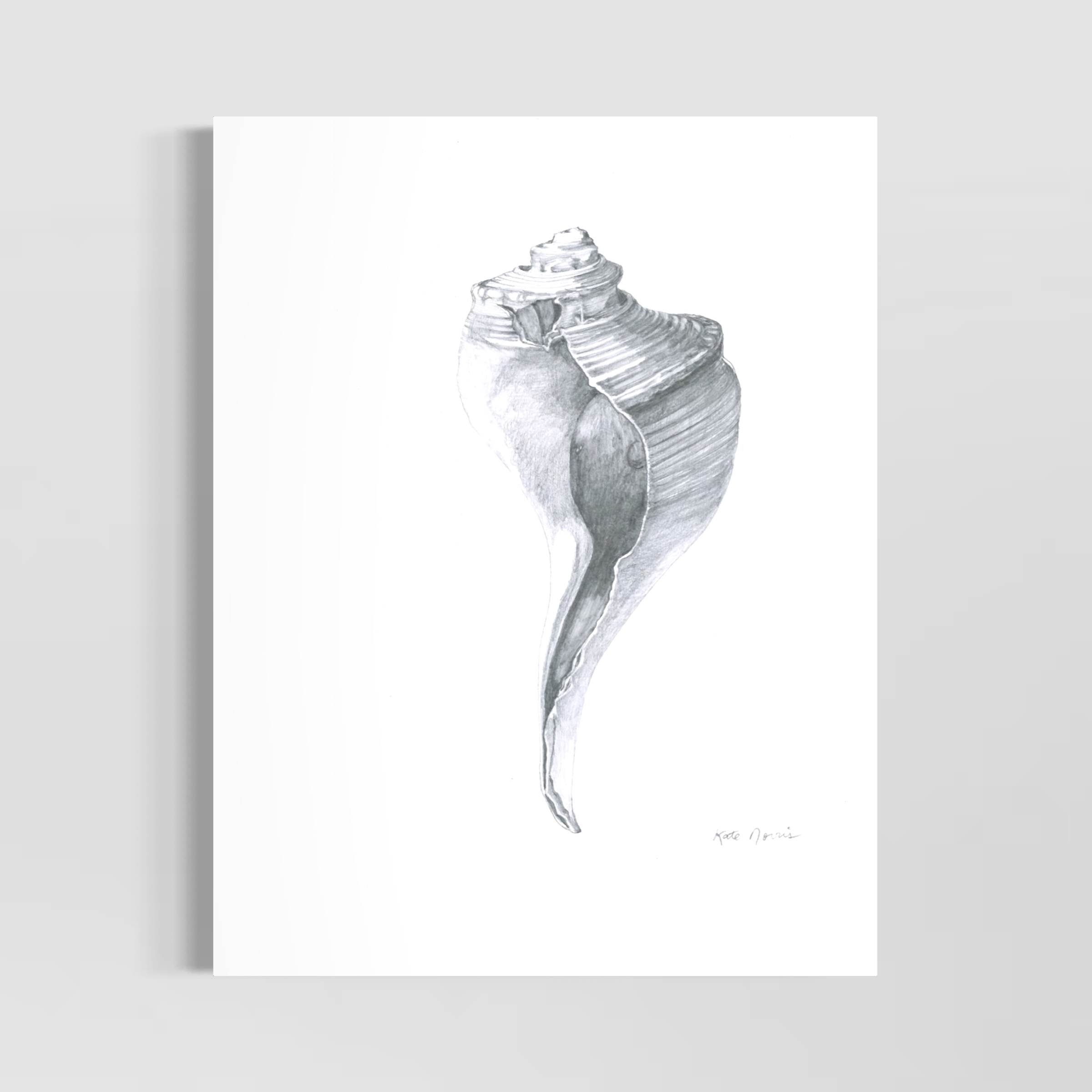 Broken Shell I art print by Kate Norris