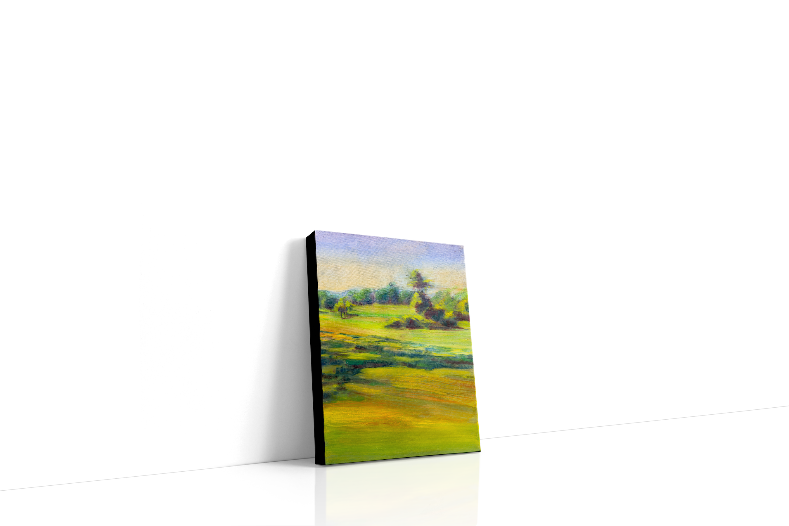 ethereal_fields_canvas_mckupp.png