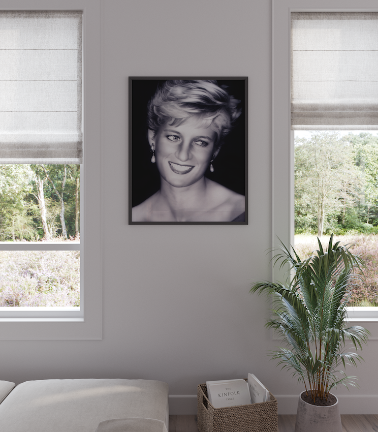 Princess Diana Poster | Posters of Princess Diana | Princess Diana Paintings | Princess Diana Art