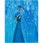 Peacock Paintings | Paintings of Peacocks | Peacock Artwork | Peacock Canvas Painting