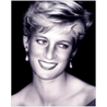 Princess Diana Poster | Princess Diana Art | Posters of Princess Diana | Princess Diana Paintings